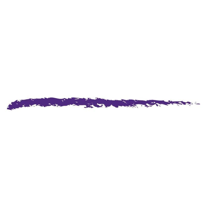 Lagirlcolors ENDLESS AUTO EYELINER Purple Fizz LA Girl ENDLESS AUTO EYELINER
